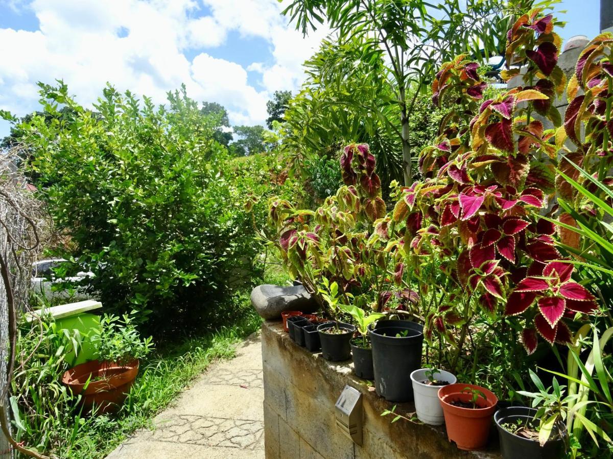 Bungalow Dourou Deshaies Exterior photo